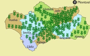 Olivos en Andalucía-Plantae-Garden
